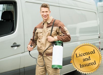 Licensed and Insured Pest Exterminator Tillsonburg