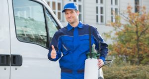 Why You Should Hire Professional Pest Control Service