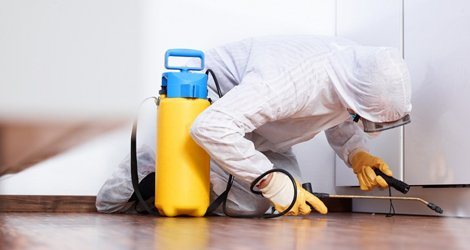 Pest control technician in a protective suit treating along a floor for bed bugs